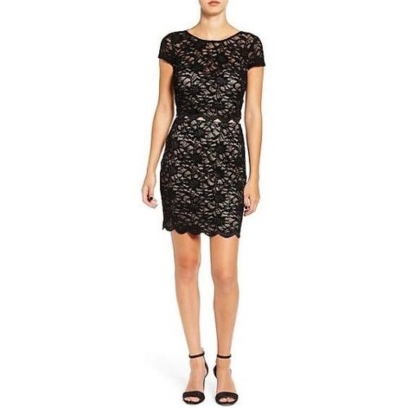 NWT Bee Darling Lace Sequins Dress size 3/4 - Picture 1 of 1
